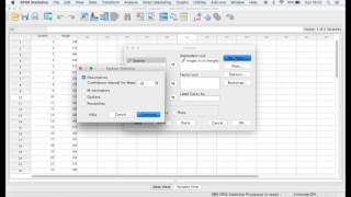 Confidence Intervals and Error Bars in SPSS