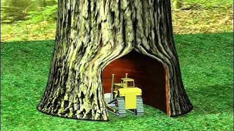 Discontinuous Free form Deformations, Technion