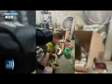 Video Sicurezza, forze dell'ordine rafforzano i controlli per Natale