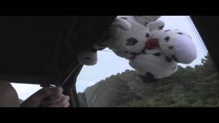Tomato the Rapping Dalmation Takes Flight