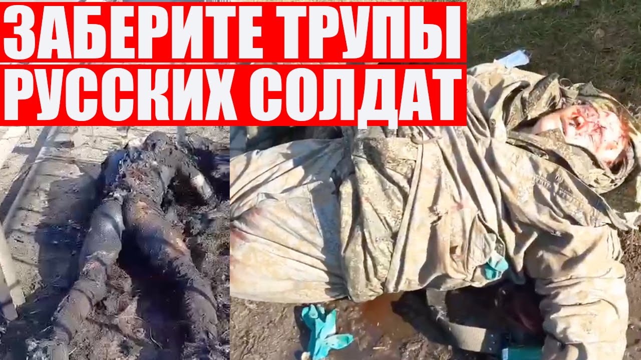 Трупы в волге