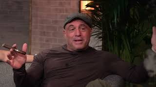 Joe Rogan on Wolf Evolution