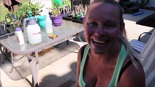 Managing Chewing Insects | Bacillus Thuringiensis (BT) | Not Quite A Homestead