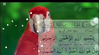 Surah Al-Ikhlas: Heart Touching Quran Recitation with Finger Tracking