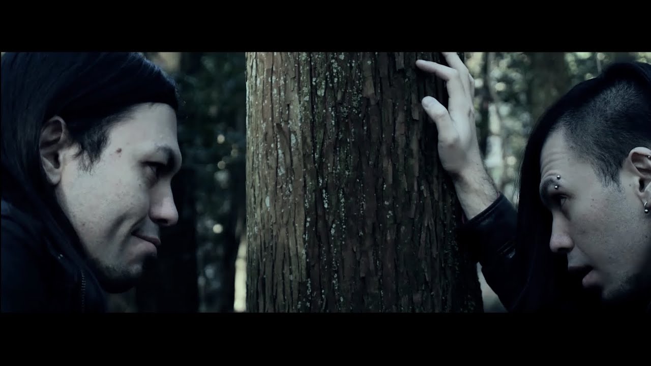 BIRD AS OMEN EVOKE (OFFICIAL MUSIC VIDEO) YouTube