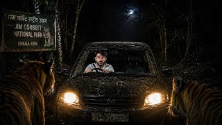 Tiger was Just 3 meters away | Real Scary Night Drive Jim Corbett National Park | Tusker Elephant