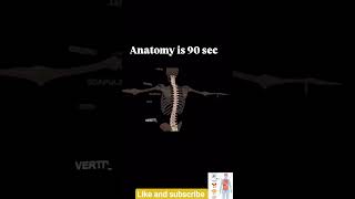 #anatomy #nursing staff #neet  # bollywood  #hollywood  medical student knowledge