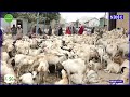 WAA SIDEE QIIMAHA LAGU KALA IIBSANAYO XOOLAHA EE SUUQYADA MAGAALADA MUQDISHO WAA SIDEE QIIMAHA LAGU KALA IIBSANAYO XOOLAHA EE SUUQYADA MAGAALADA MUQDISHO