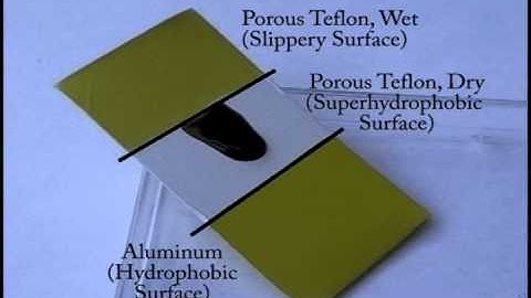 SLIPS and Oil Repellency