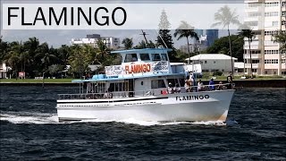 Flamingo Fishing Boat