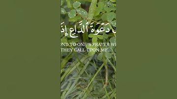 القارئ عبد المنان الحوري