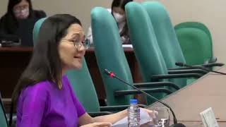 Senator Risa Hontiveros holds a Senate Hearing for Magna Carta of ...