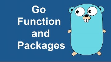 go function | function in go | go package | package in go