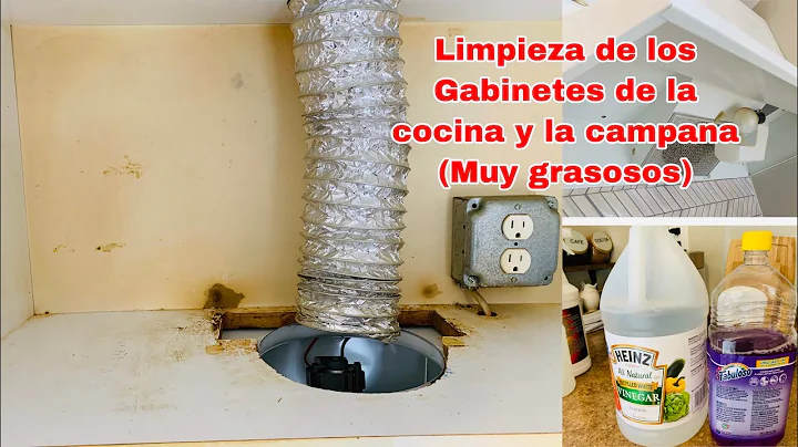 LIMPIEZA DE LOS GABINETES DE LA COCINA MUY GRASOSO...