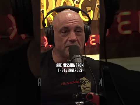 Nile Crocodiles in Florida - Joe Rogan