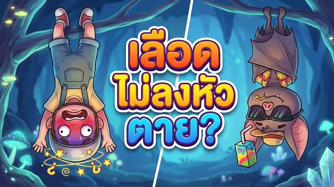 นอนห้อยหัวทั้งวัน... เลือดไม่ลงหัวตายเหรอ? (ความลับร่างกายค้างคาว)