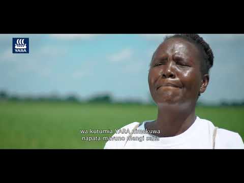 Video: Jinsi Mbolea Inavyoathiri Ubora Wa Zao - 3