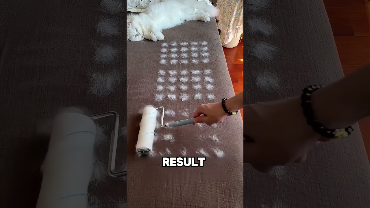 He Was Losing To Cat Hair, She Saved The Day