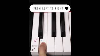 1.69 88-Key Piano Keyboard Sticker Master Music With Staff Notation