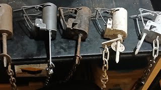 Real Talk Ep 34 - Dog Proof Traps ( Review of 5 Brands )
