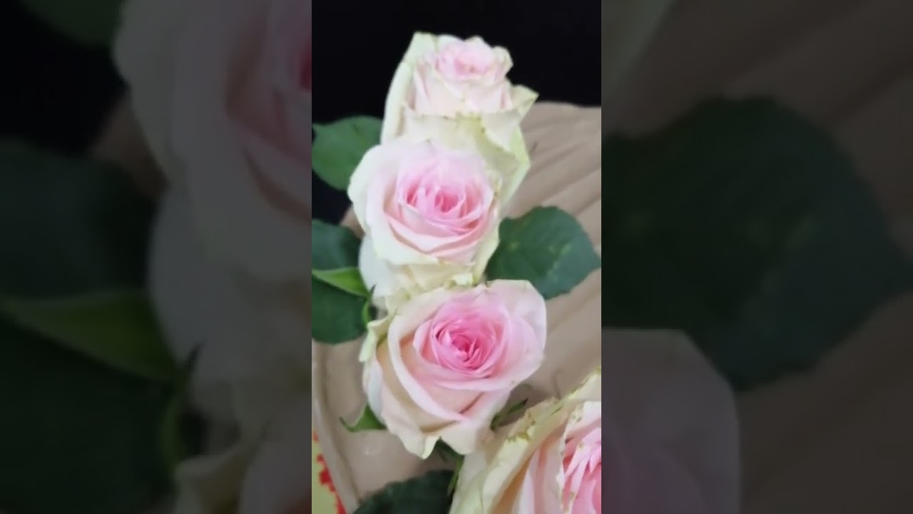 Chocolate butter cream cake with red velvet inside cake #shorts #chocolatebuttercream