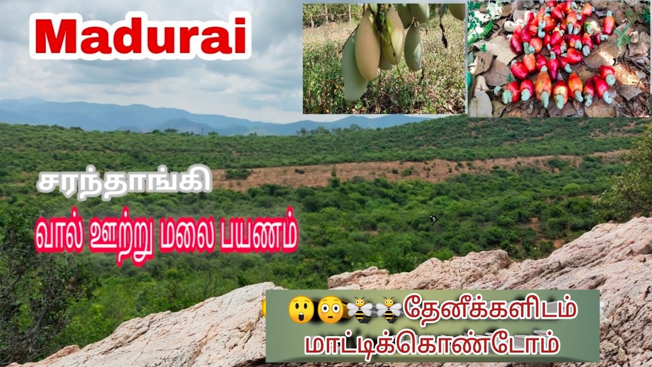 வால் ஊற்று மலை பயணம் 🐝 தேனீக்களிடம் மாட்டிக்கொண்டோம்😳😳//Madurai vlog video