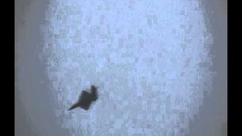 YF-23 Test flight 21