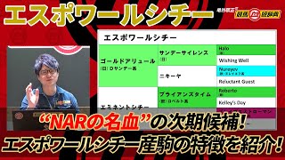 【エスポワールシチー】 JRAでもNARでも砂のダートでは超一流の血統！