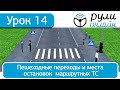 Урок 14: Пешеходные переходы и места остановки маршрутных ТС ПДД 2020