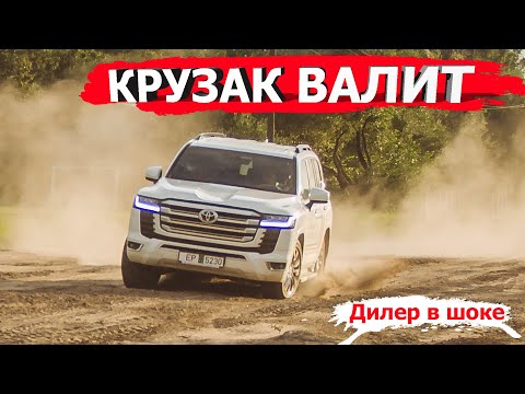 Король проходимцев новый