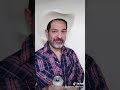 Piporro en Tiktok