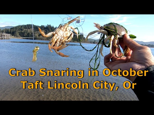 Crab Snaring Oregon coast in October 