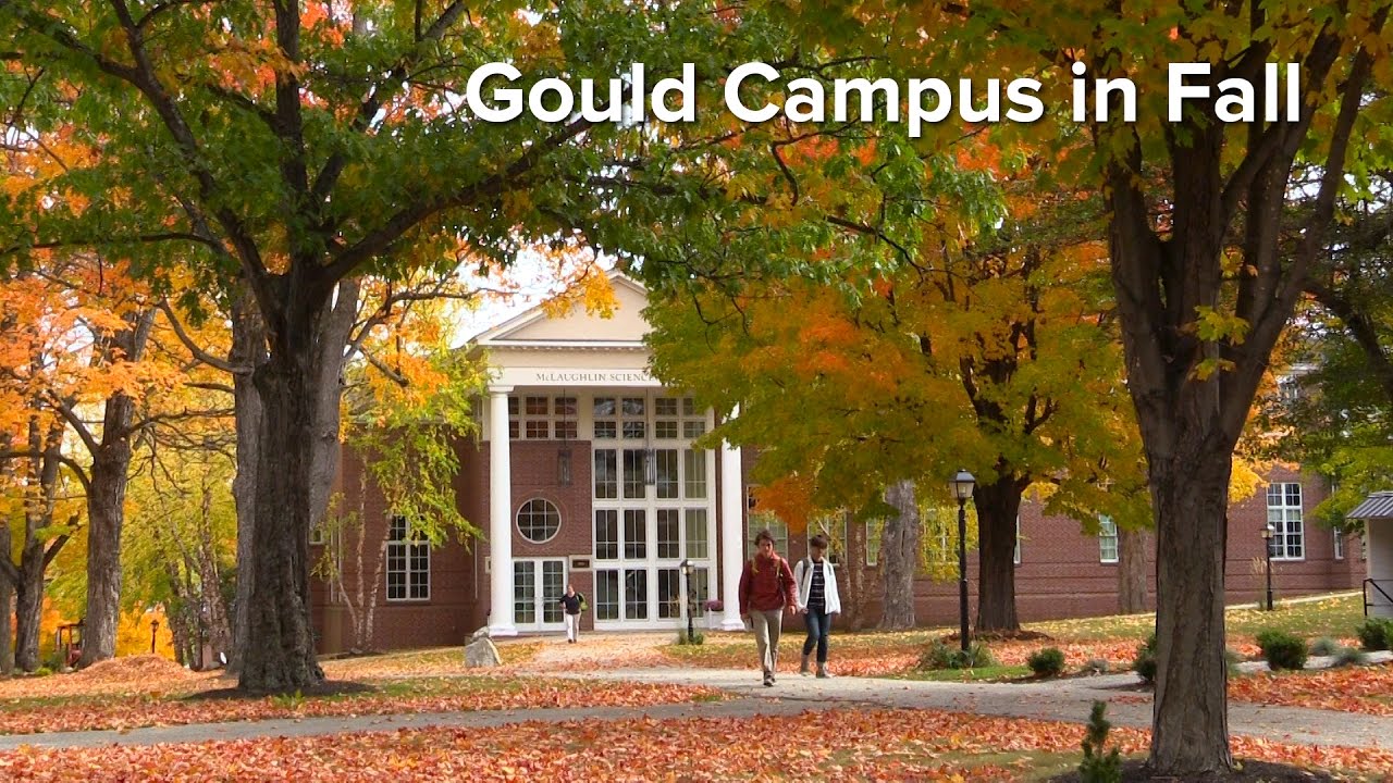 Autumn Leaves at Gould