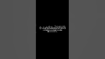 يا أيها الذين آمنوا اصبروا وصابروا ورابطوا ||القارئ عبدالرحمن الزواوي سورة آل عمران- #ترند