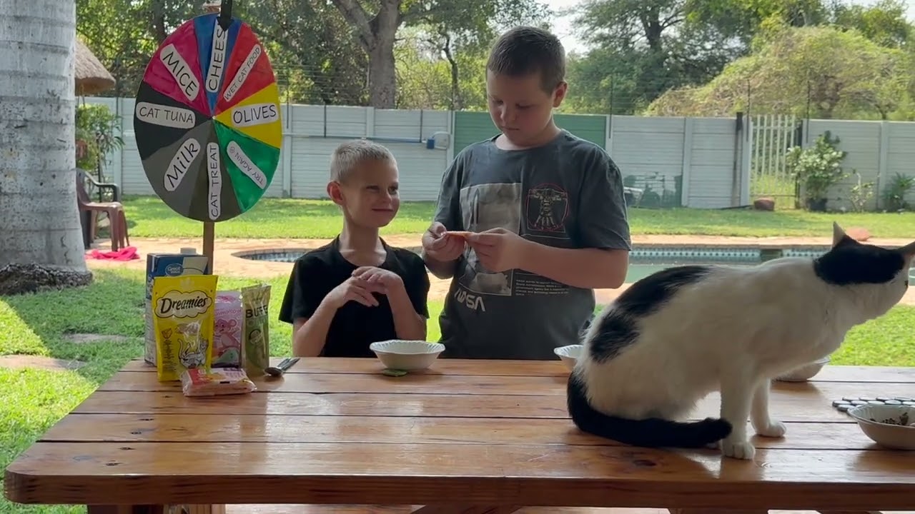 Kids Taste Test Their Cat’s Favorite Snacks! 🐱🤯 (Spin the Wheel Challenge!)