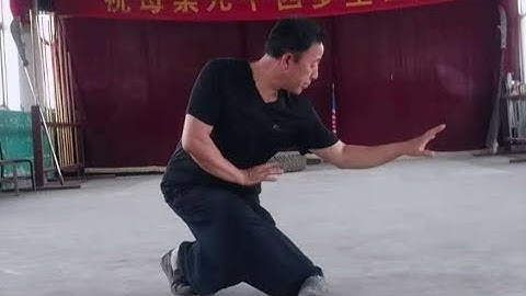 Song Xingyiquan Master Zhao Chuan Hui - classic form and introduction