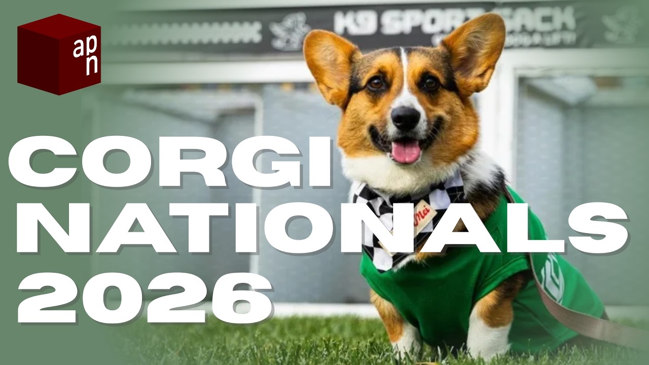 2026 Annual Corgi Nationals
