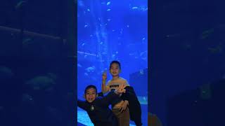 New year celebration 2026 #海南 #2026 #travel #minivlog #blcu #vlog #shortvideo #china #海外旅行
