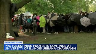 Pro-Palestinian protests at UIUC day after police clashes with demonstrators