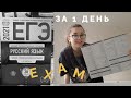 Готовлюсь к ЕГЭ по Русскому ЗА 1 ДЕНЬ / etykam