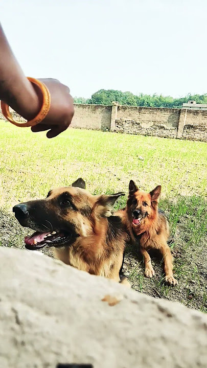 See where our Max Lushi is stuck