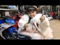 Best EV Cars For Kids in Delhi NCR, India | Battery Cars for Kids | Cycle Hub | MEERUT SOCIAL