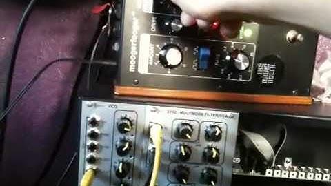 Analogue Solutions Concussor module and a ring mod