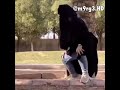 دفيعه جاده هههههه 