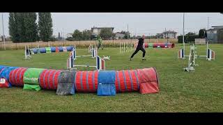 Agility dog TOY - 2^ Selettiva FISC Urbana PD - Ruby VINCE e vola ai Mondiali IFCS 2026