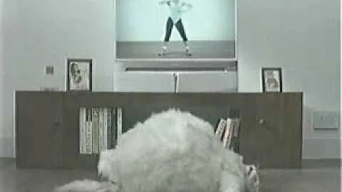 Watch the video about Funny Thai Cat Commercial