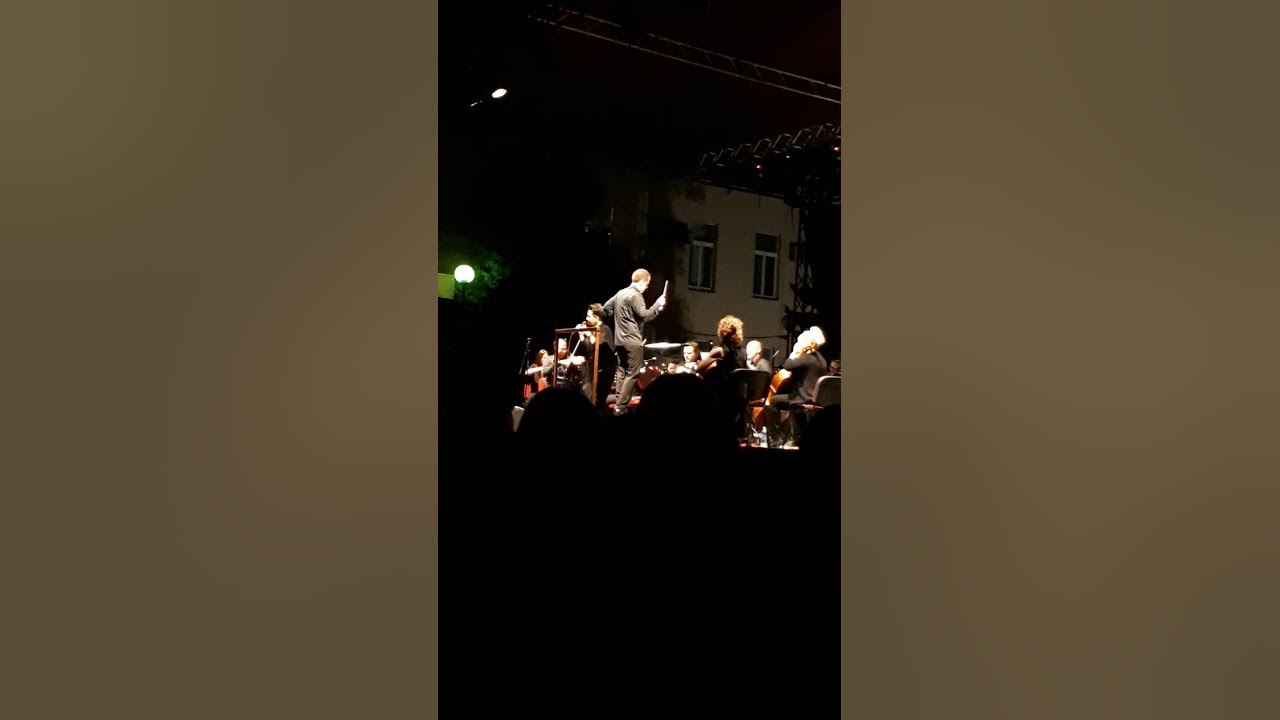 "Snijeg pade na behar na voće" Amira Medunjanin,Vojvođanski simf