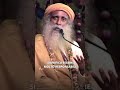 Il modo di vivere più responsabile | Sadhguru Italiano #shorts