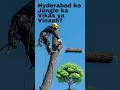 Hyderabad ke Jungle ka Vikas ya Vinash?