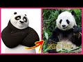 Kung Fu Panda IN REAL LIFE Characters Kung Fu Panda 3 2 1 WANAPlus 